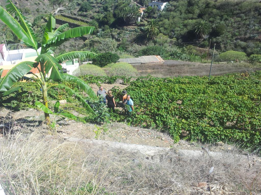 Casas Rurales Pie De La Cuesta1 Vallehermoso Værelse billede